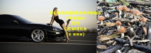 ешки Аркадак