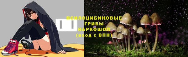 не бодяженный Арсеньев