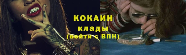 ешки Аркадак