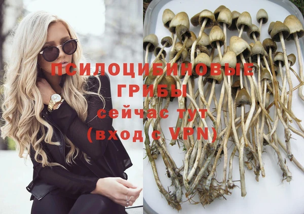 ешки Аркадак