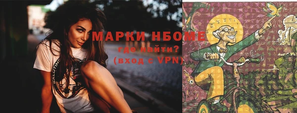 ешки Аркадак