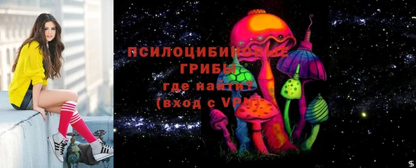 ешки Аркадак