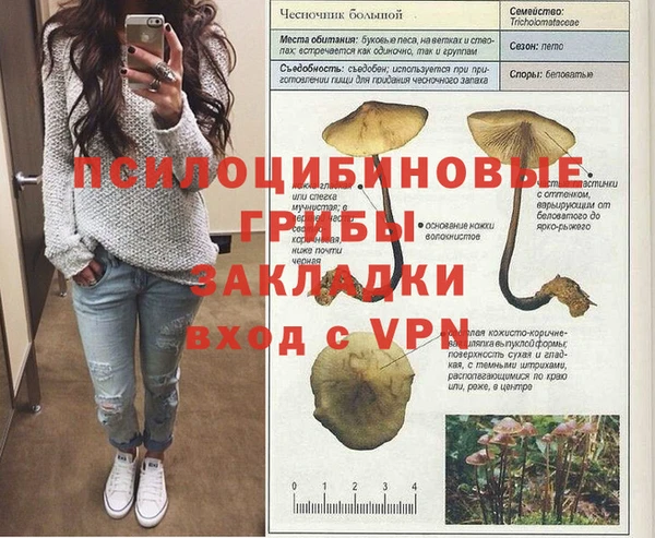 ешки Аркадак