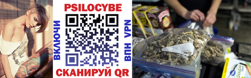 Галлюциногенные грибы Psilocybe  Пустошка 